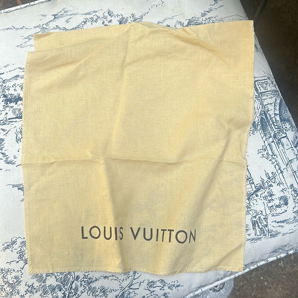Louis Vuitton Bag